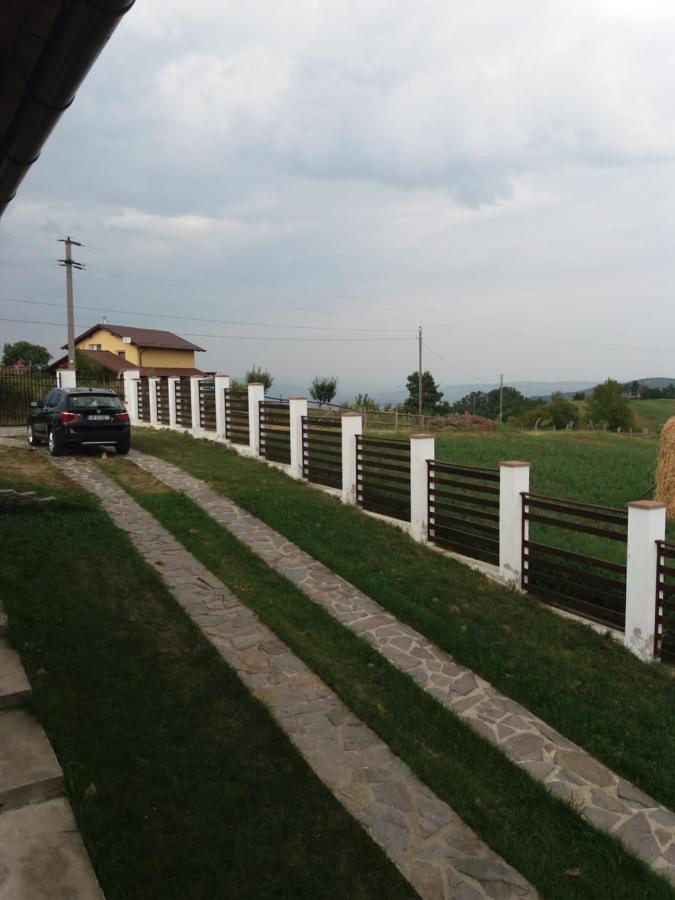 Vila Aloman Sebeş Esterno foto