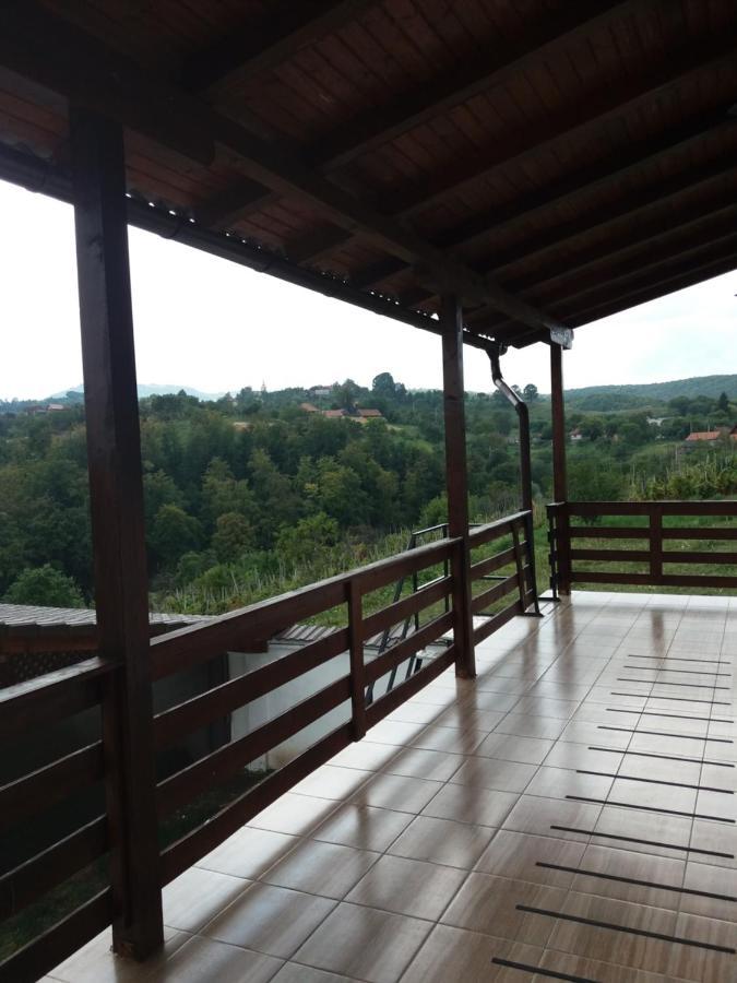 Vila Aloman Sebeş Esterno foto