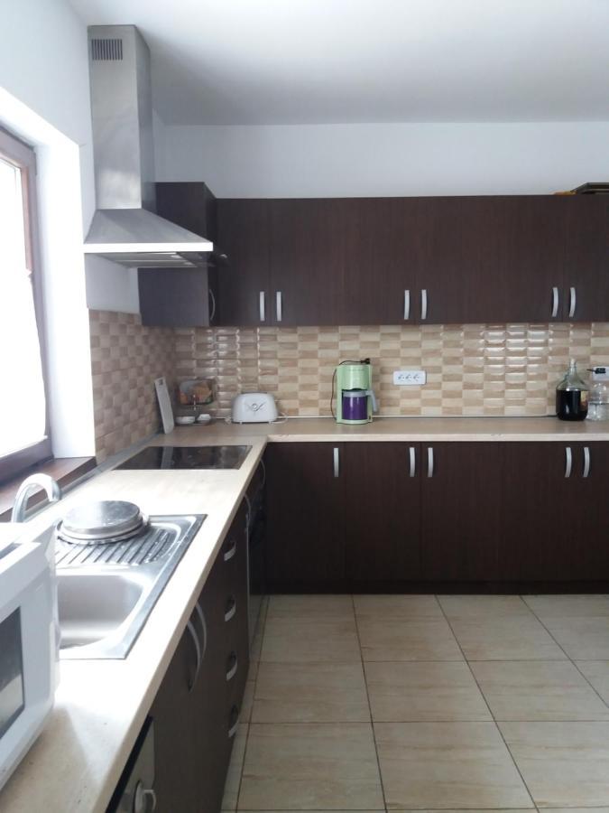 Vila Aloman Sebeş Esterno foto