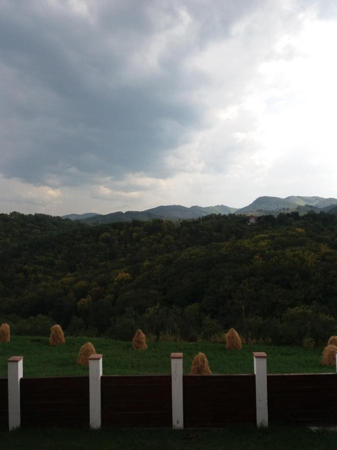Vila Aloman Sebeş Esterno foto