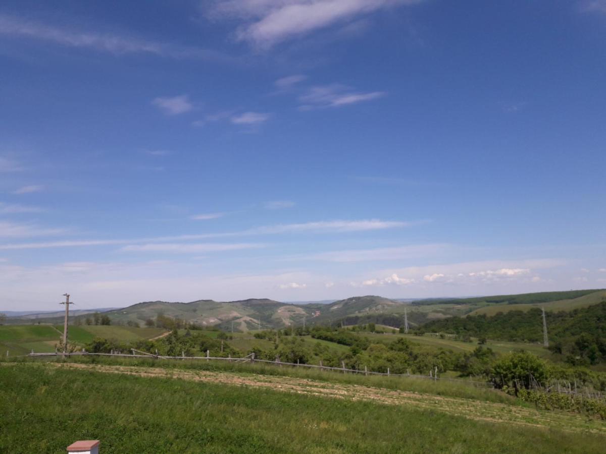 Vila Aloman Sebeş Esterno foto