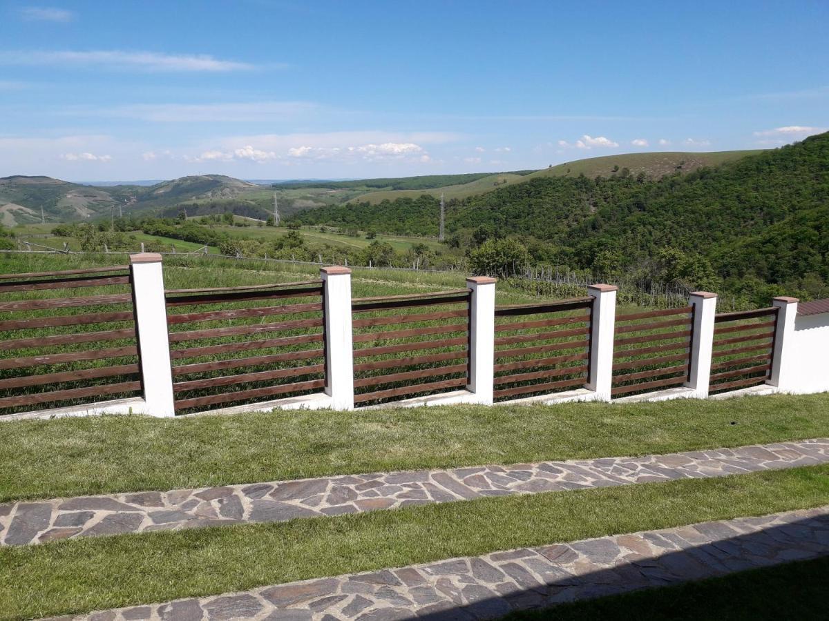 Vila Aloman Sebeş Esterno foto