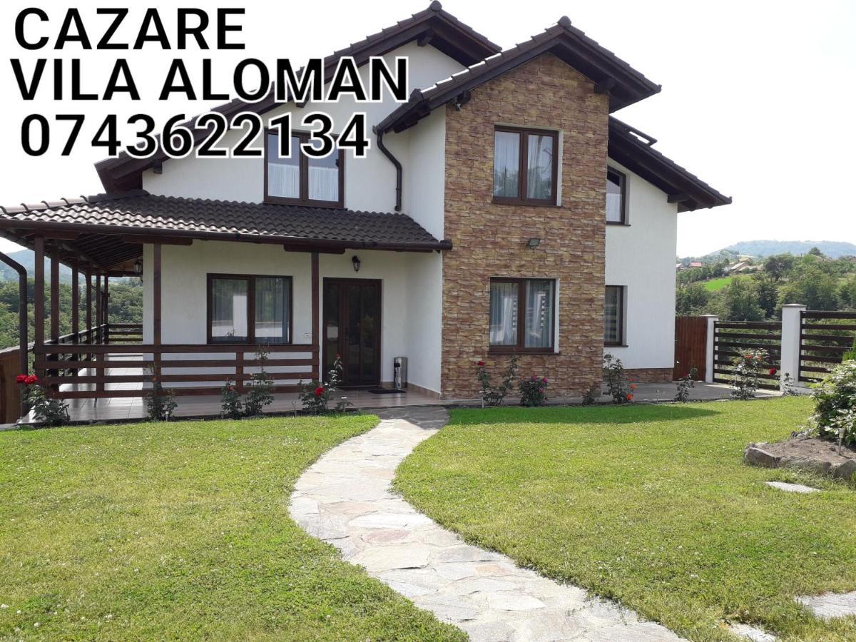 Vila Aloman Sebeş Esterno foto