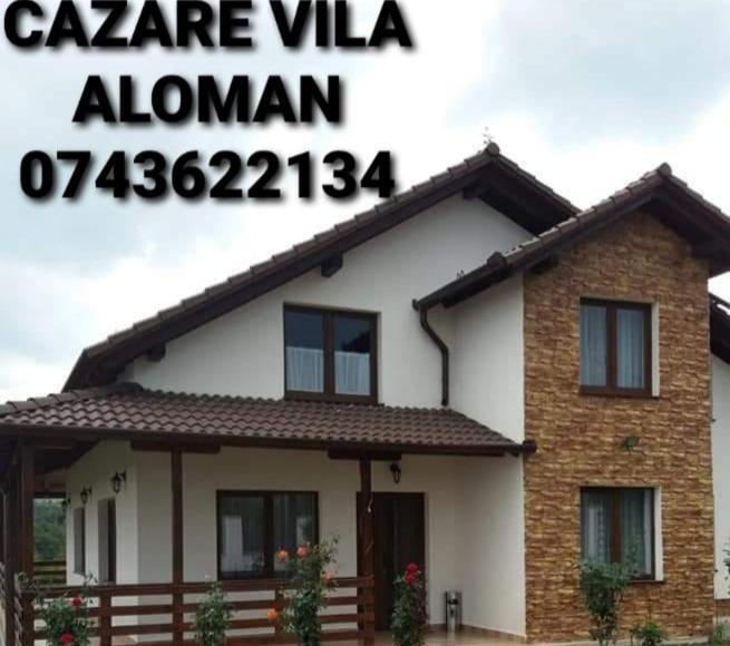 Vila Aloman Sebeş Camera foto
